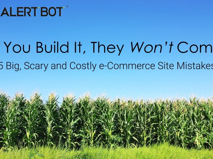 Photograph of a corn field set against a bright blue sky. Test on it reads "If You Build It, They Won’t Come: 5 Big, Scary and Costly e-Commerce Site Mistakes"